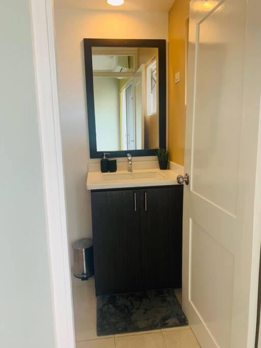 Odyssey On The 5Th - Exquisite Luxury Apt キングストン エクステリア 写真